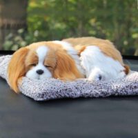 Cún than hoạt tính khử mùi Taplo
